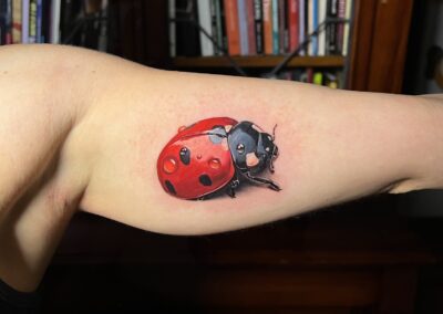 Realism tattoo of a ladybug on forearm by Pete at Tanuki Tattoo in Melbourne.